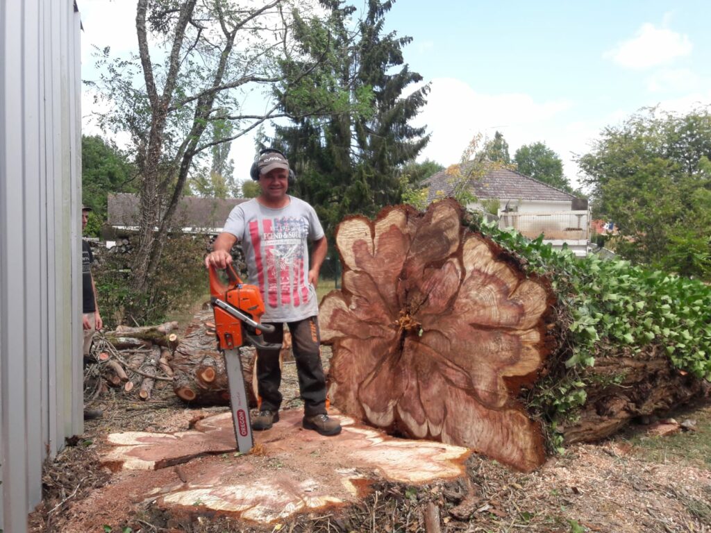 fernando almeida élagage arbre centenaire salbris